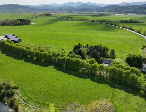 Lewis Family Farm $8,000,000  Hall and Hall