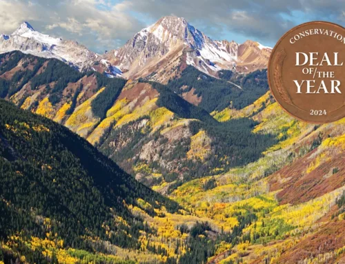 2024 Conservation Deal of the Year: Snowmass Falls Ranch