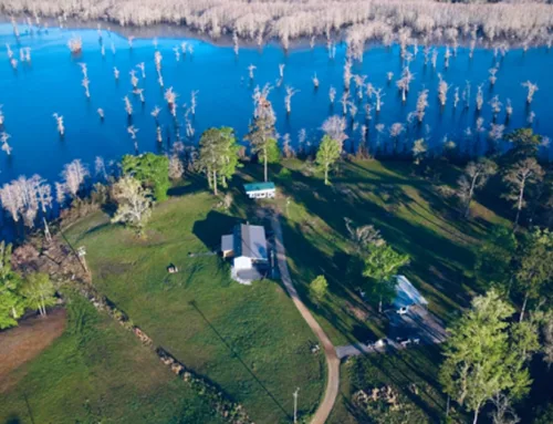 Kitterlin Creek Land Auction Estate Of Homer E. Gahn Jr.