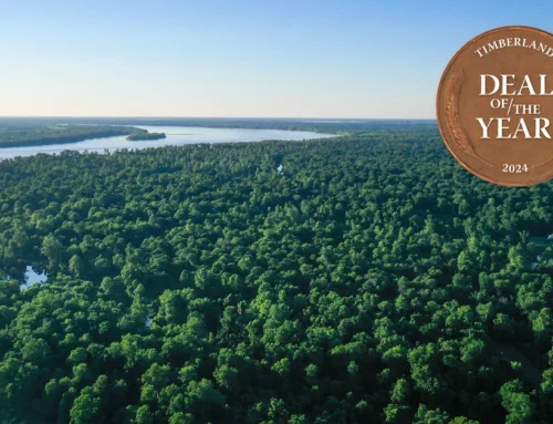 2024 Timberland Deal of the Year: Project Razorback