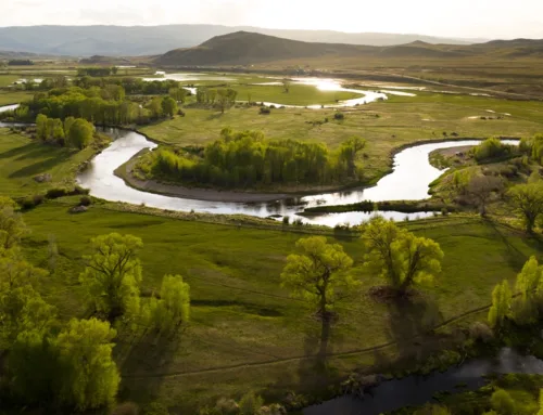 Ranching in the Colorado River Basin