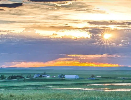 Double R Ranch $8,968,000  Hall and Hall