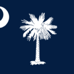 south carolina state flag