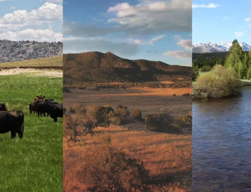 Protected: Inside Three of the West’s Largest Ranches: Pathfinder, Great Western, and Midland Ranch
