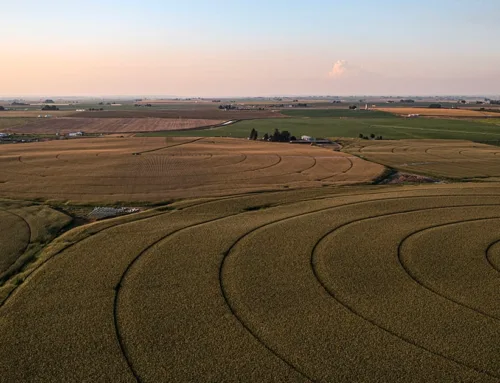 Washington Farmland Auction  November 13th  Schrader Real Estate and Auction