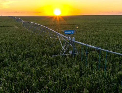 Major Irrigated Farmland Auction  November 18 Peoples Company