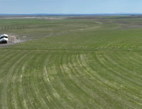 Eastern Oregon Farmland Auction  November 25  UC Ranch Properties | Jett Blackburn