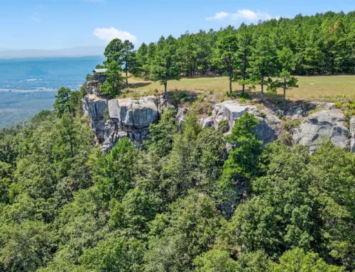 Protected: Executive Retreat in the Ouachita Mountains