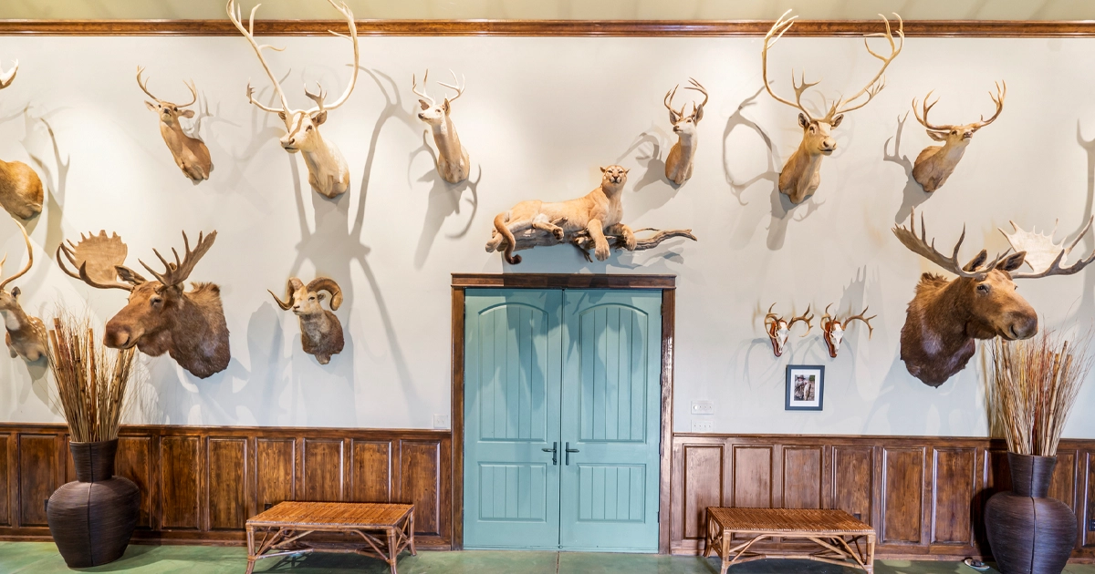 LR_SaundersLand-AR-05