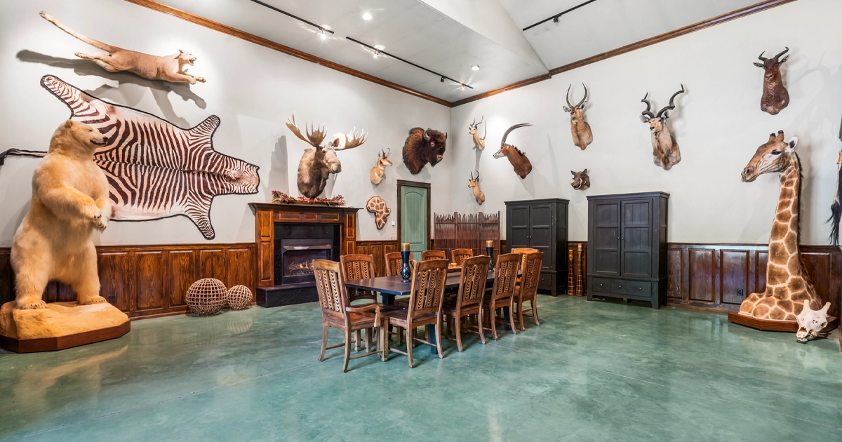 LR_SaundersLand-AR-06