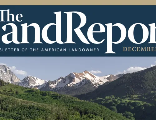 Land Report December 2025 Newsletter