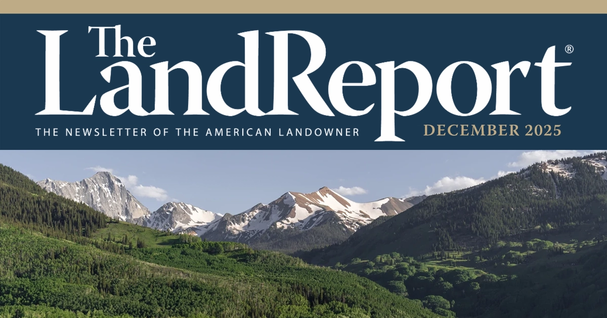 LR_EDDeskHeader-122025