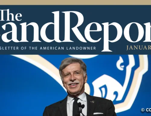 Land Report January 2026 Newsletter