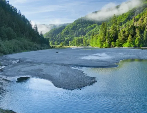 Green Diamond Transfers Sacred Ground