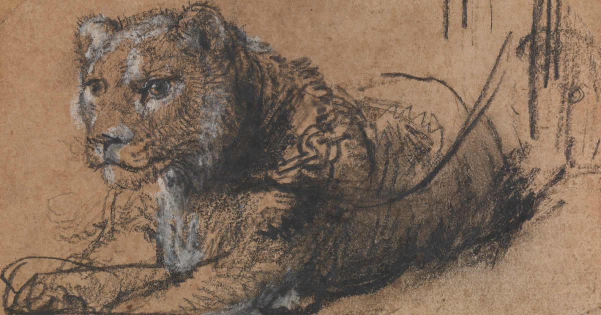 Rembrant, YOUNG LION RESTING