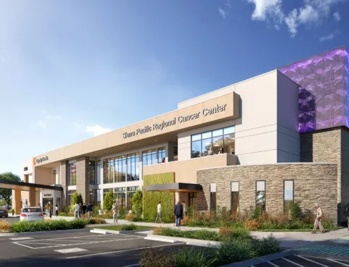 The Emmersons Are America’s Largest Private Timberland Owner