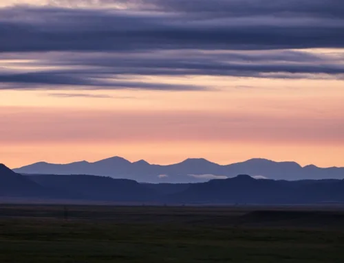 Zane Kiehne’s Quest to Buy the UU Bar Ranch