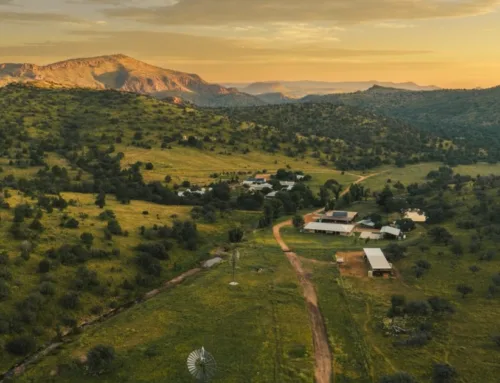 Caldwell Ranch – Contact for Price – King Land and Water