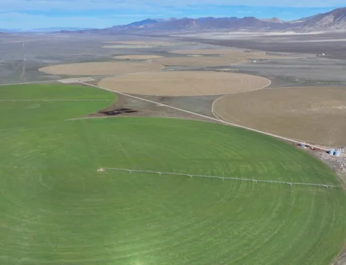 Cawrse Farms