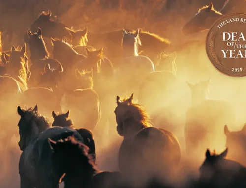 The Land Report Deal of the Year: The Largest Ranch Sale in American History