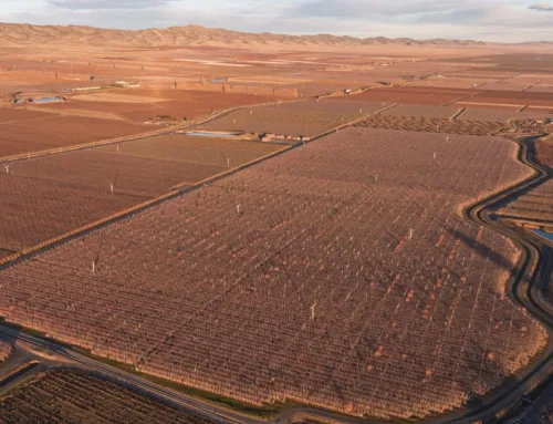 Premium Apple Orchard For Sale $8,400,000Peoples Company