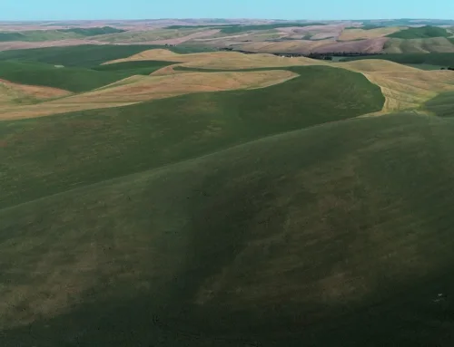 Premium Washington Dryland Farm $2,250,000Peoples Company