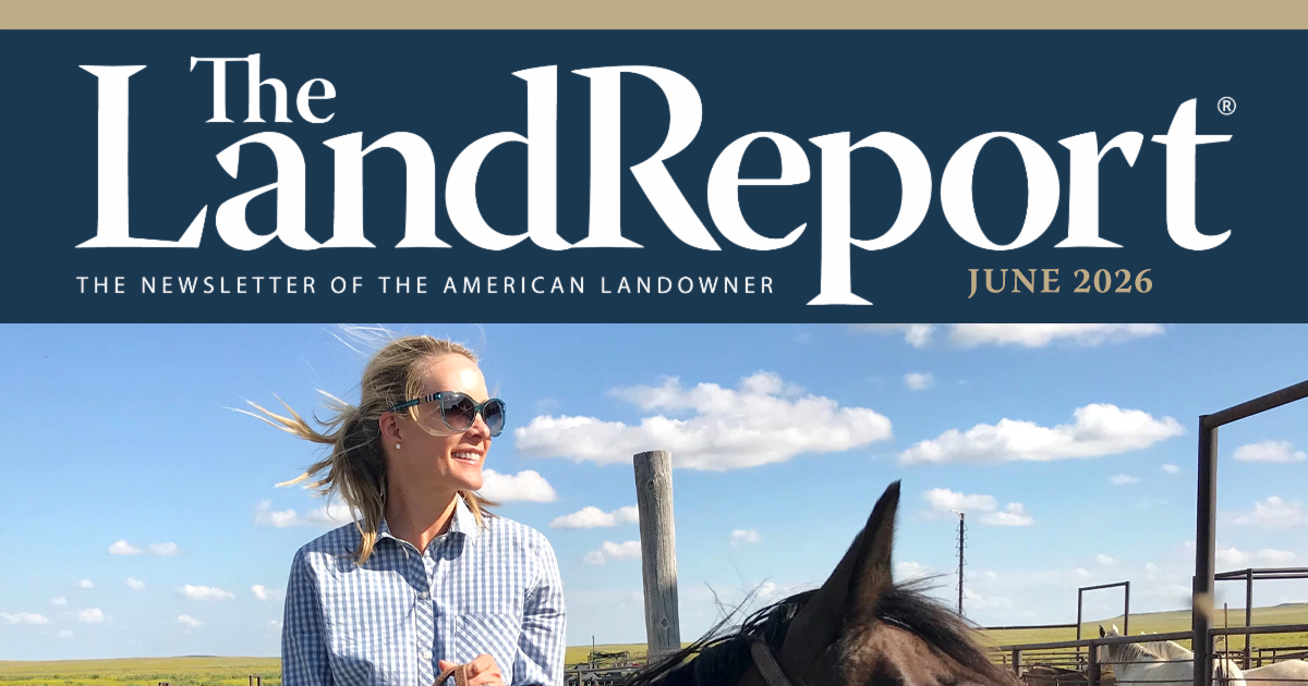 LR_Newsletter-062026-Head