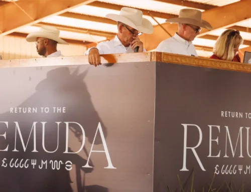 Return to the Remuda