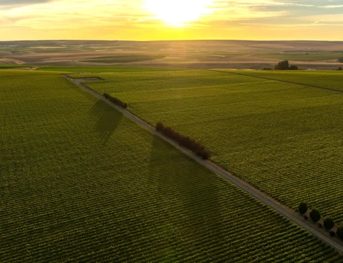 Columbia River Farm & Vineyard