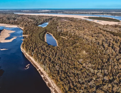 Pecan Point