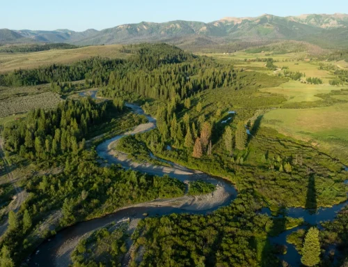 Joe Ricketts Launches Saving Yellowstone