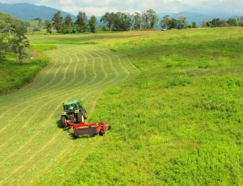 The Next Chapter at Eldon Farms