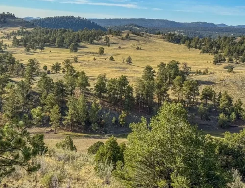 Larry Mahan Ranch