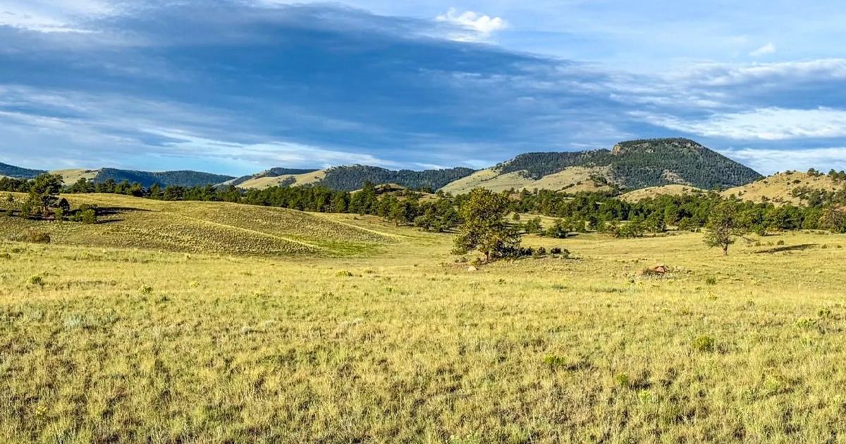 LR_LarryMahanRanch-06