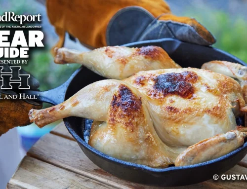 Lodge Cast Iron