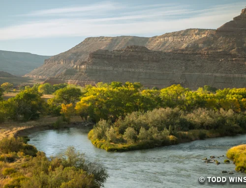 Recoverable Grants Let Conservation Move at the Speed of the Market