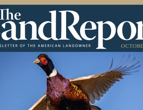 Land Report October 2026 Newsletter